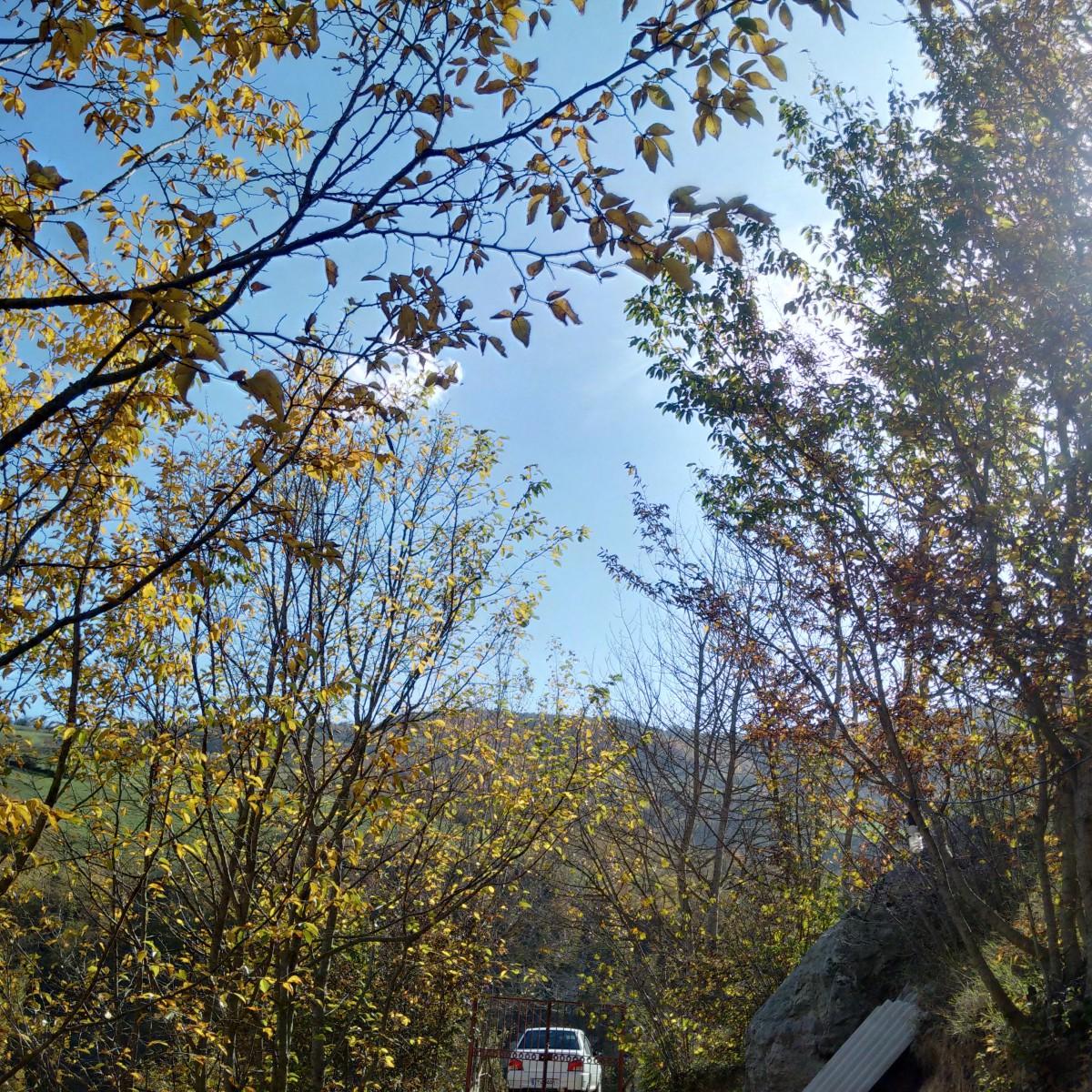 اجاره کلبه روستایی در رودسر