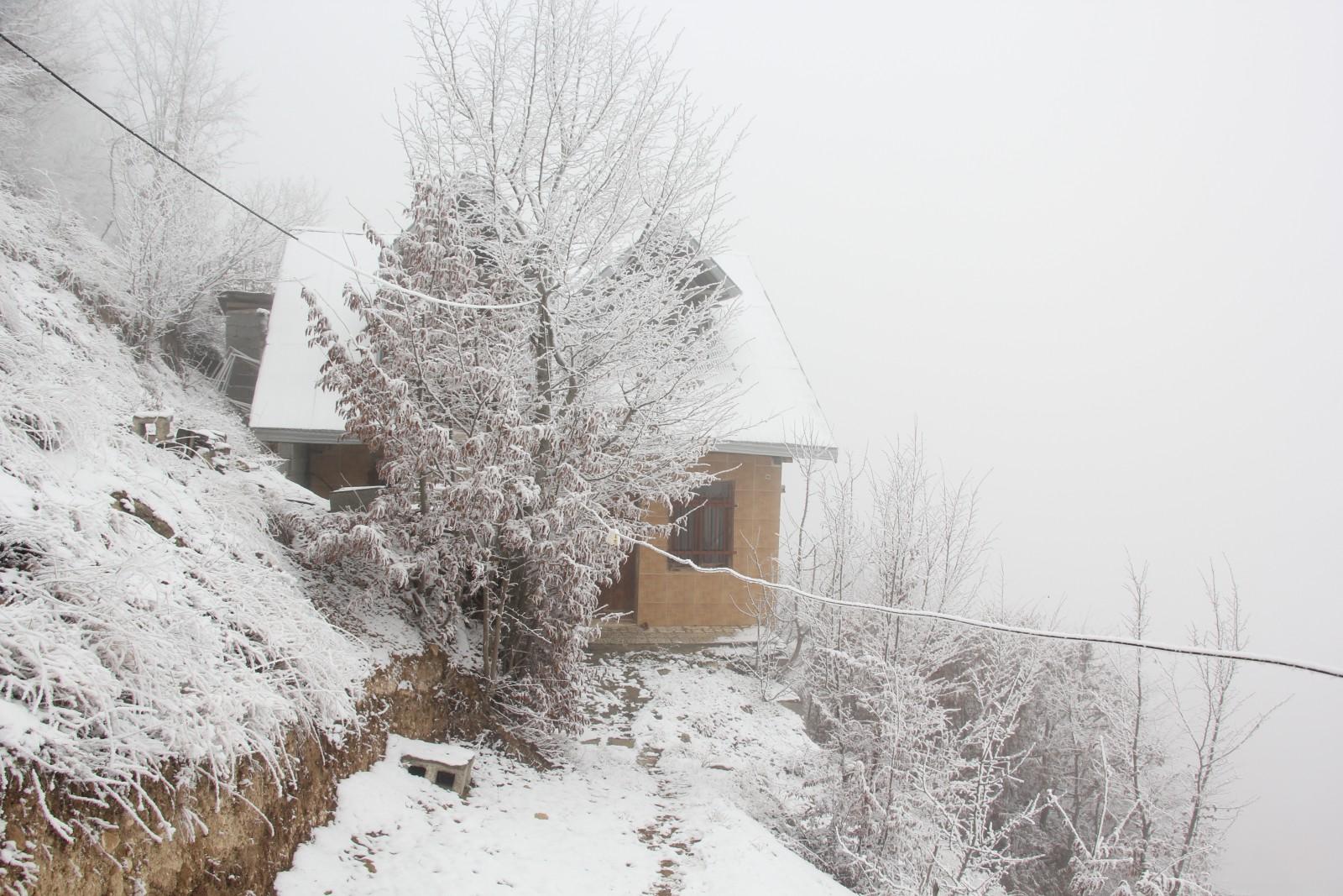 اجاره کلبه روستایی در رودسر