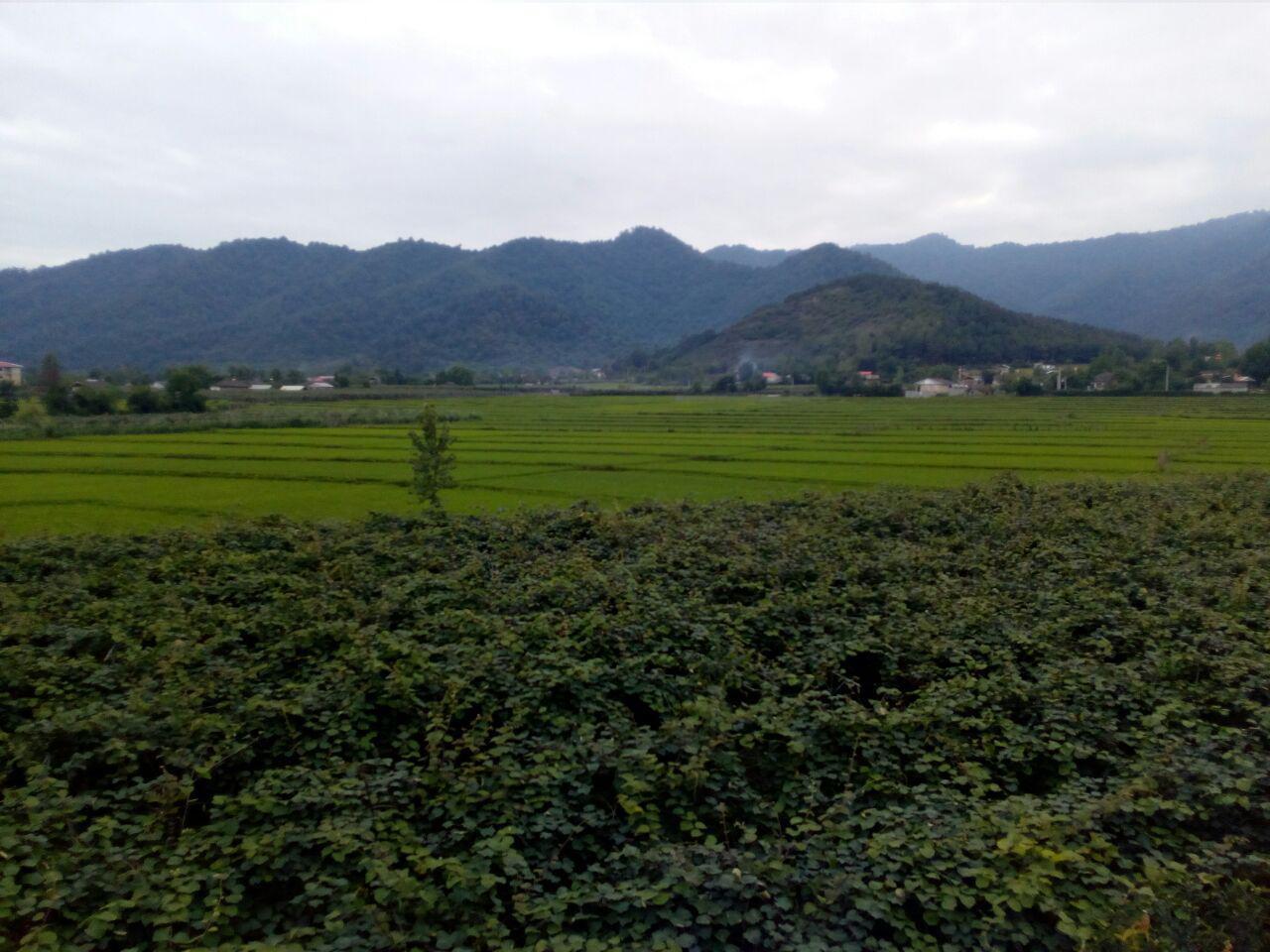 اجاره خانه در هشتپر روستای ساحلی