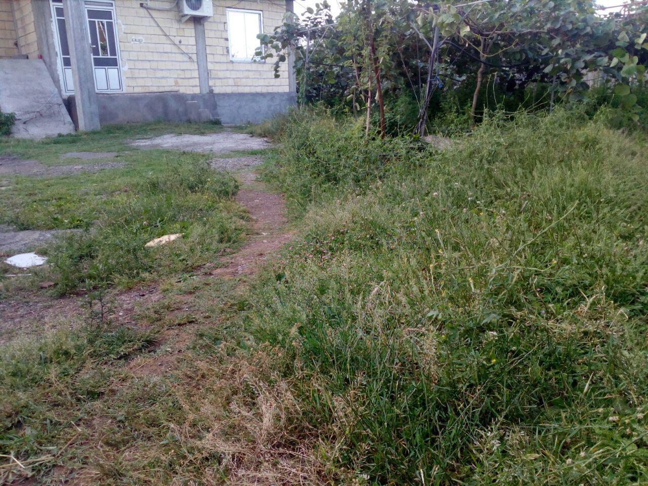 اجاره خانه در هشتپر روستای ساحلی
