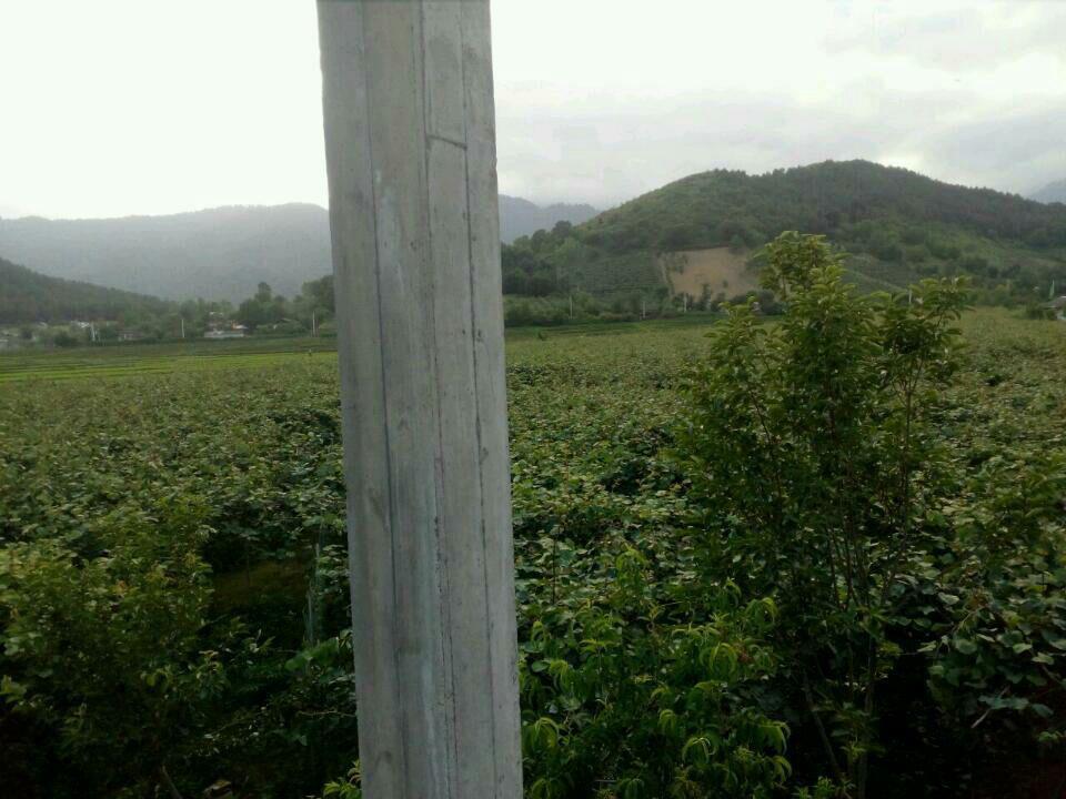 اجاره خانه در هشتپر روستای ساحلی