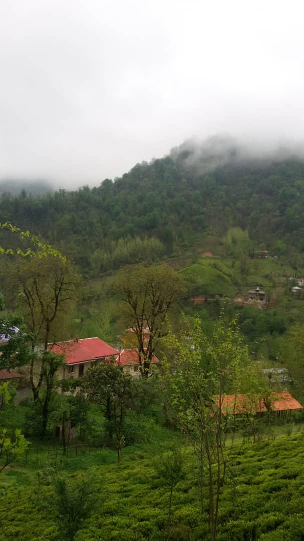 ویلای جنگلی در قلعه رودخان