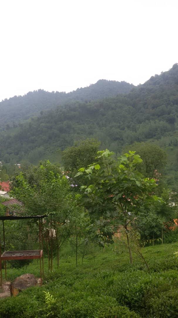ویلای جنگلی در قلعه رودخان