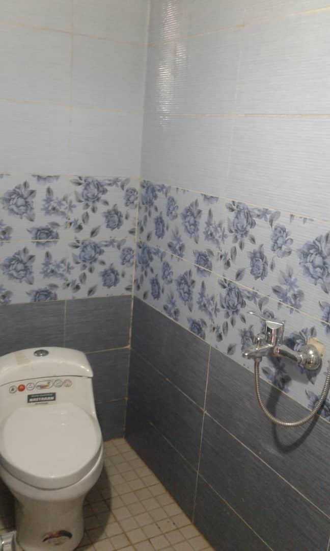 بوم گردی در نطنز