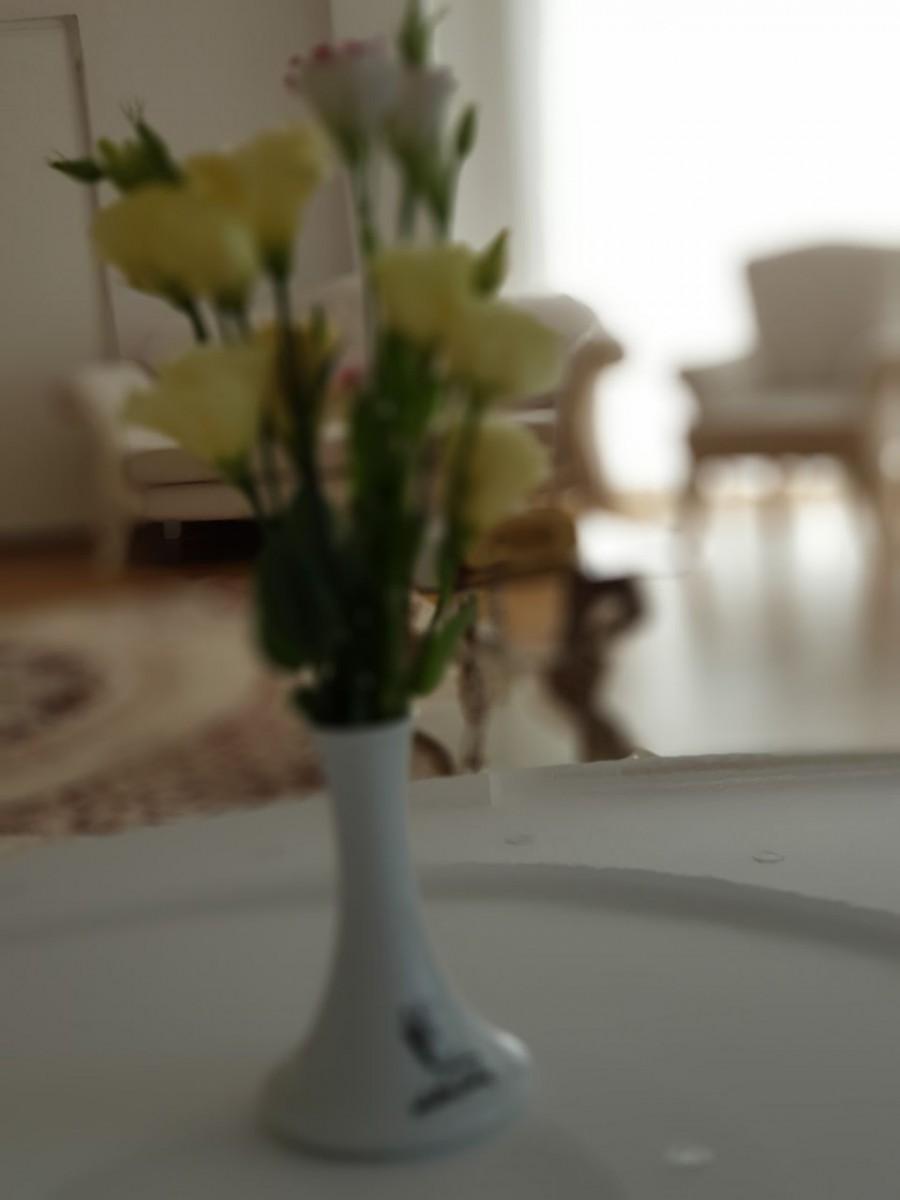 اجاره ویلا در چمخاله لوکس