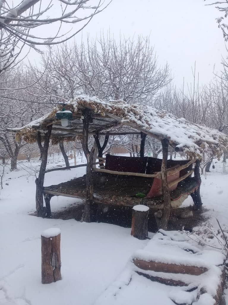 بوم گردی شاهرود