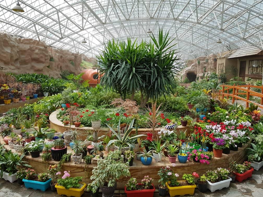 اتاق اجاره ای در محلات