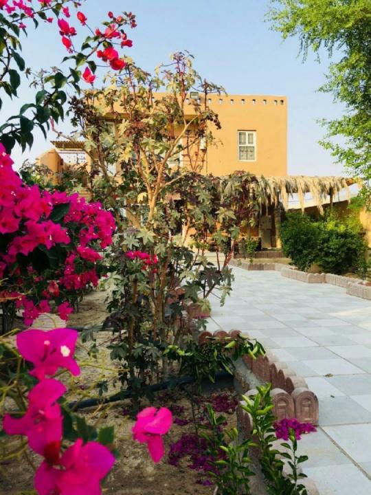 بوم گردی بهشت شور در تنگستان
