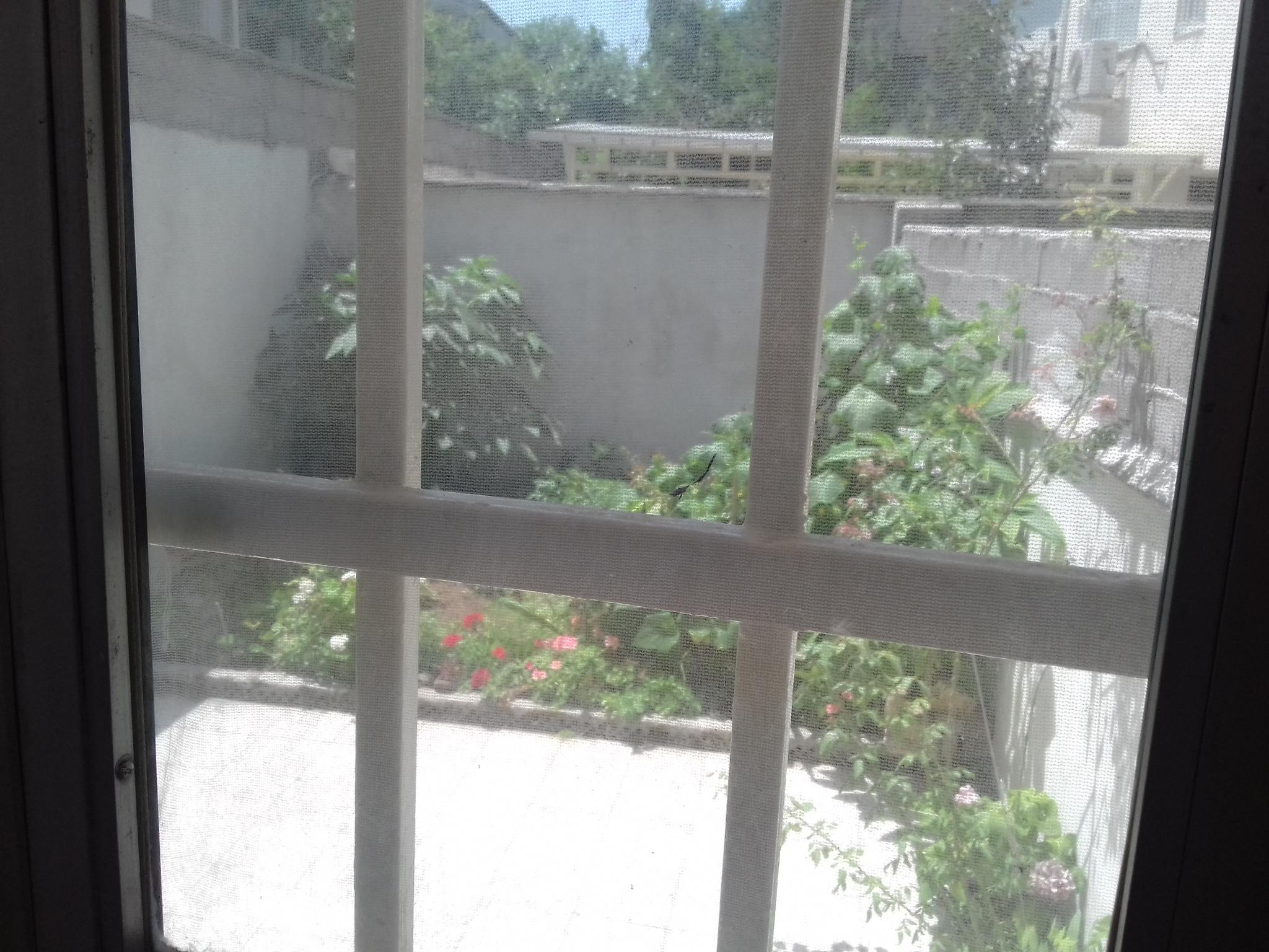 سوییت اجاره ای روزانه لاهیجان