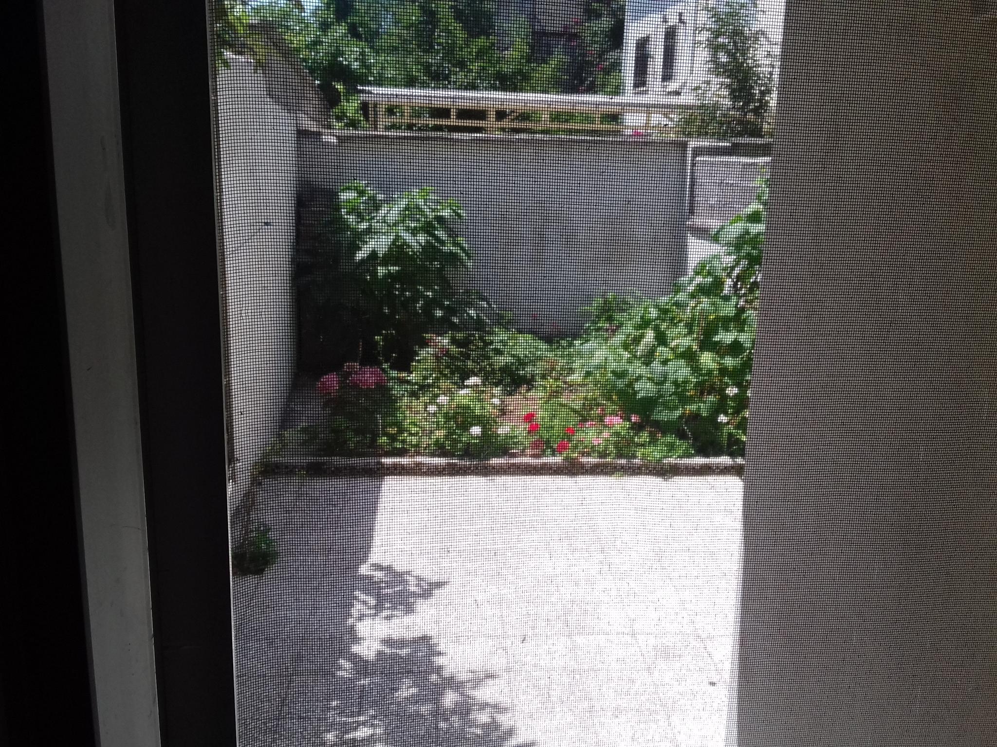 سوییت اجاره ای روزانه لاهیجان