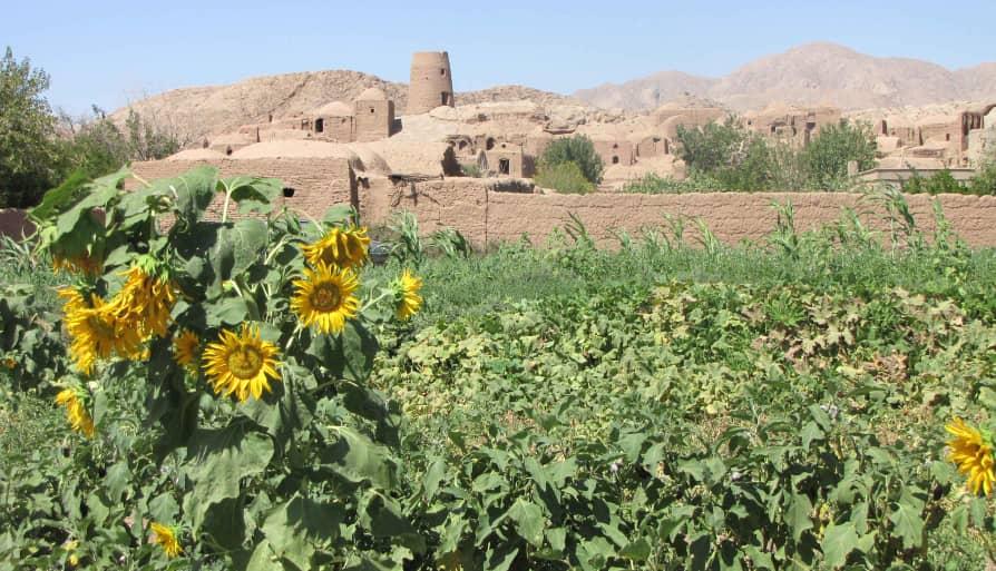 بوم گردی در چپیله طبس 