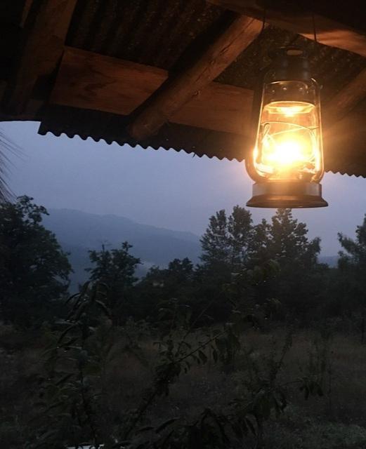 اجاره کلبه جنگلی بهشهر 