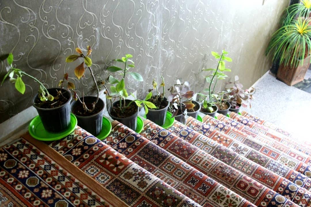 اجاره اتاق روزانه در کرمان