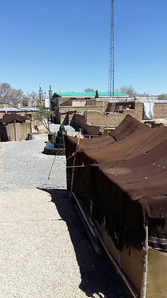 بوم گردی کردشول در پاسارگاد