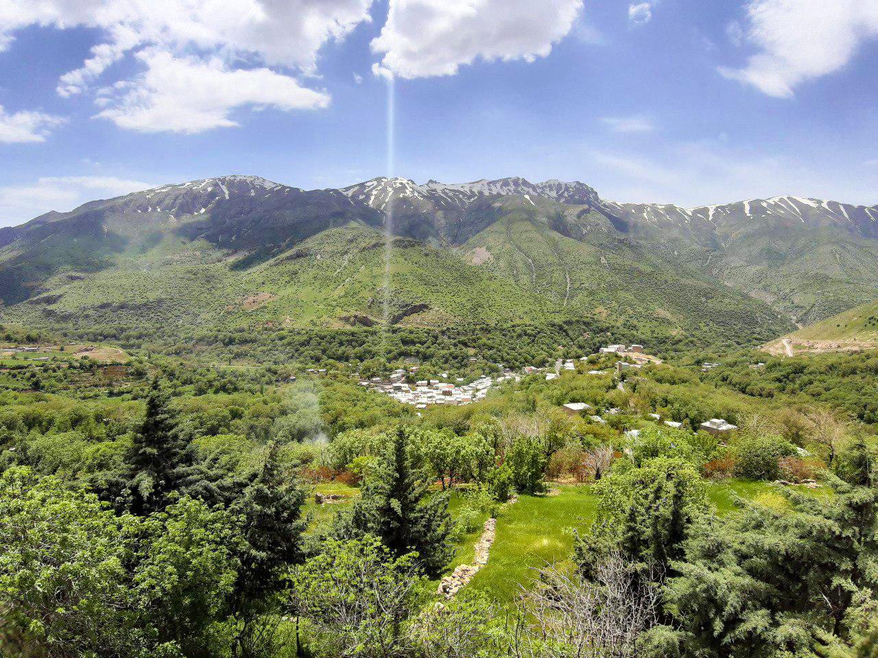 سوئیت در پاوه
