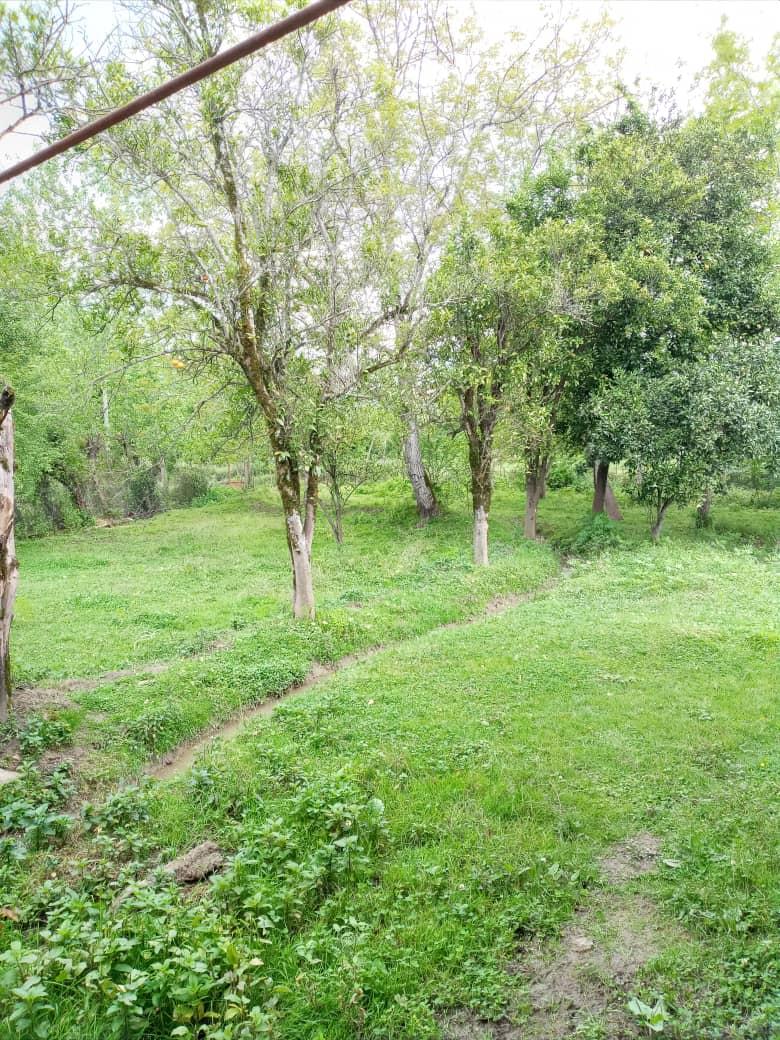 اجاره ویلا روستایی در شاندرمن