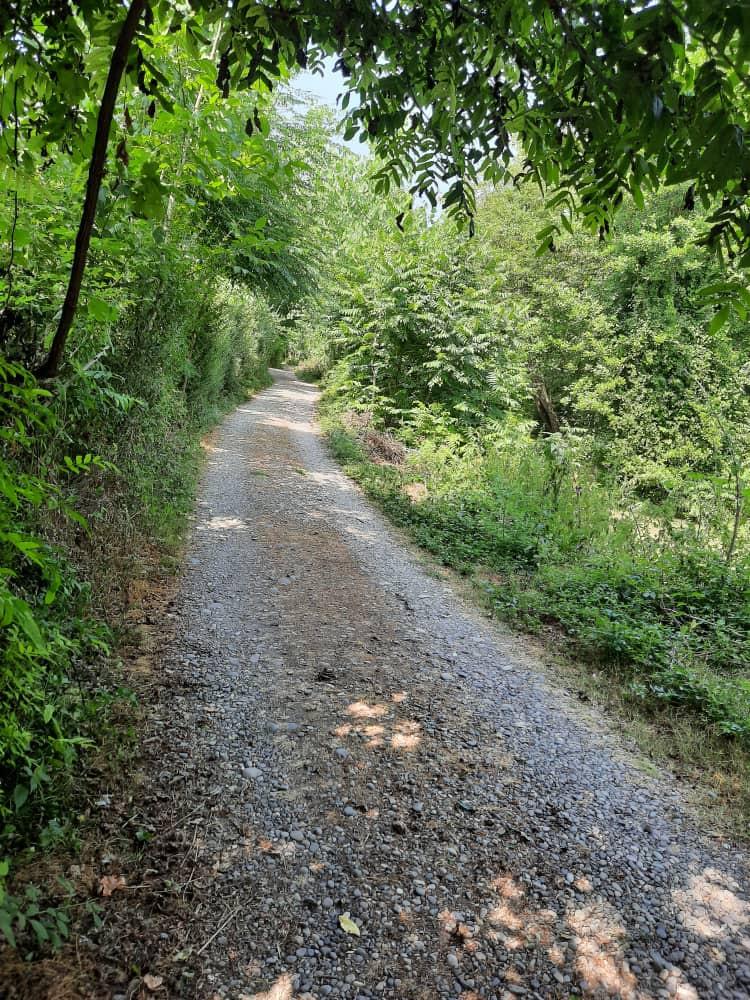 بوم گردی فل خانه رشت