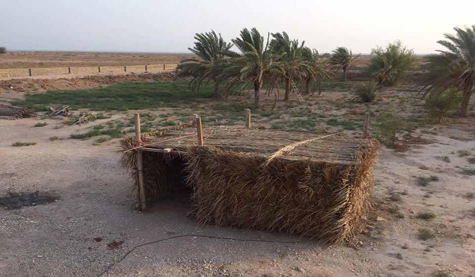 بوم گردی نرکوه در بوشهر