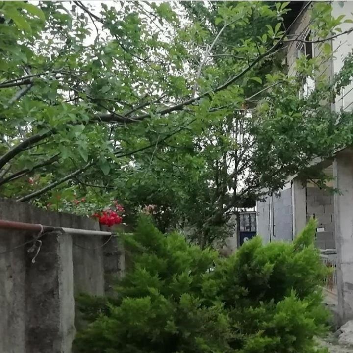 ویلا اجاره ای روزانه در فومن