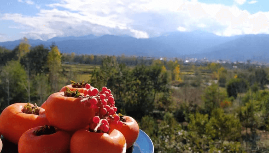 اجاره بوم گردی گیلسار رودسر