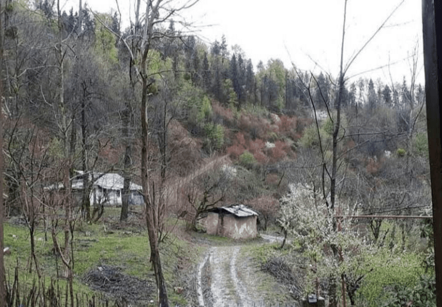 اقامتگاه روستایی دنج رودبار