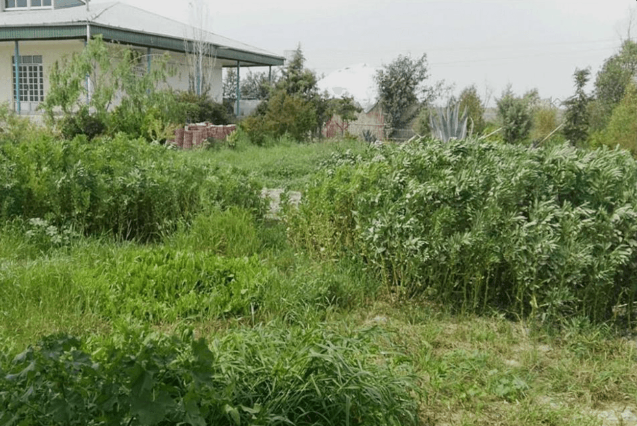 اقامتگاه بوم گردی یمگو گمیشان