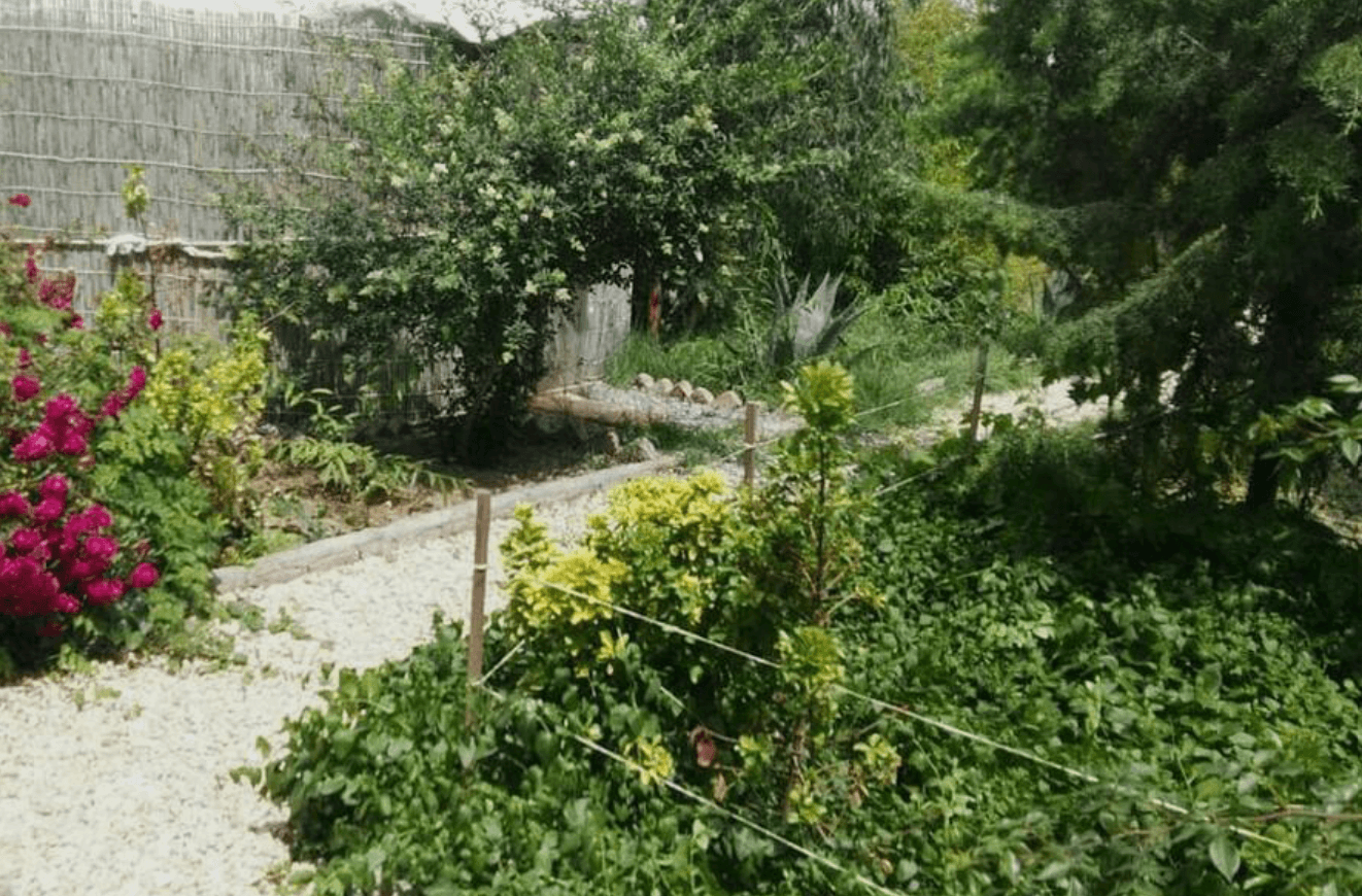اقامتگاه بوم گردی یمگو گمیشان