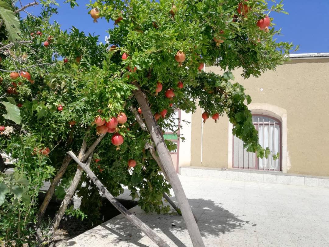اقامتگاه عمارت میرزا در سرایان