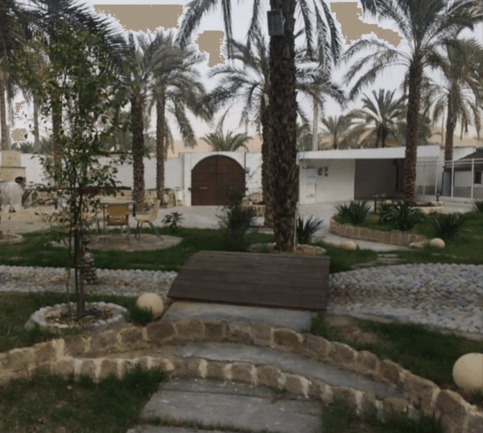 بوم گردی ستاره سهیل دشتستان