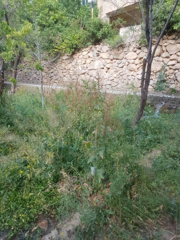 اجاره روزانه ویلا در ده بالا