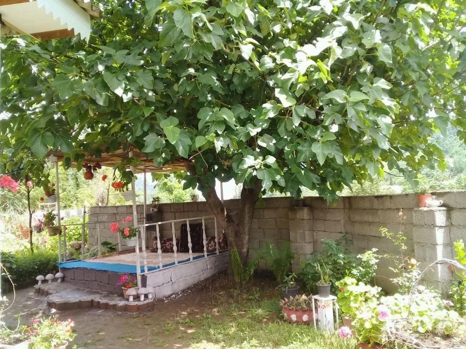 اجاره خانه باغ گلها در اسالم