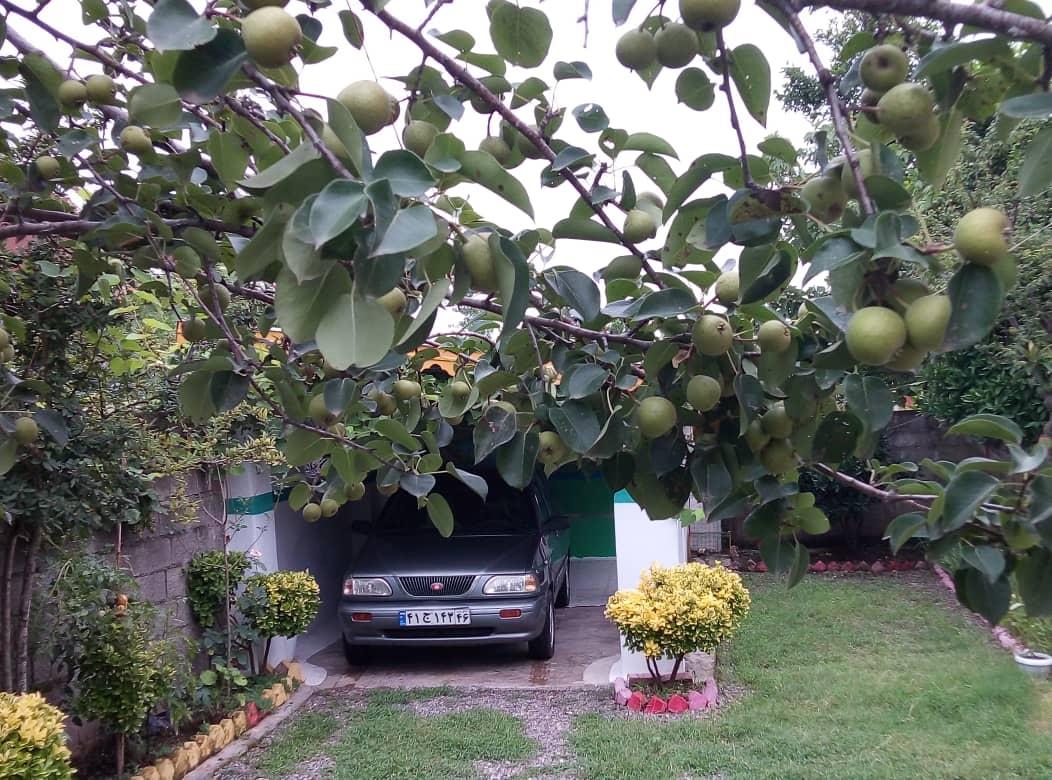 اجاره خانه ویلایی در کوچصفهان