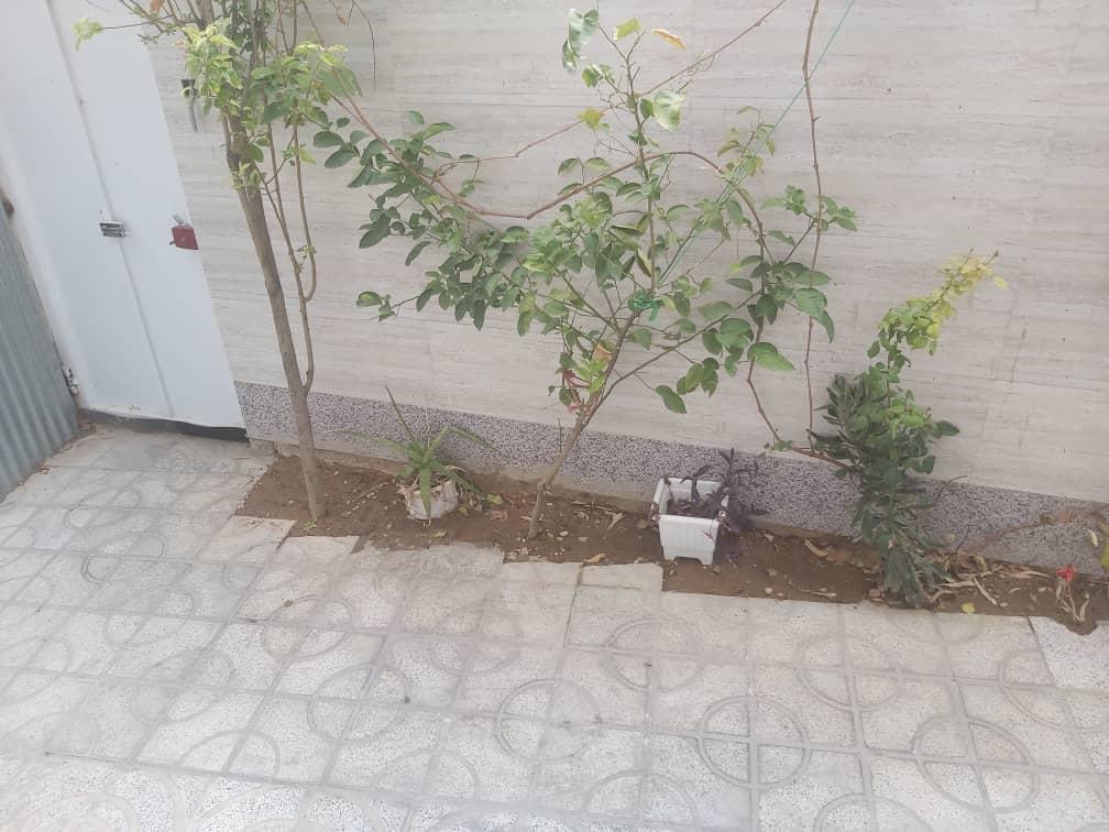اجاره خانه ارزان در شیراز
