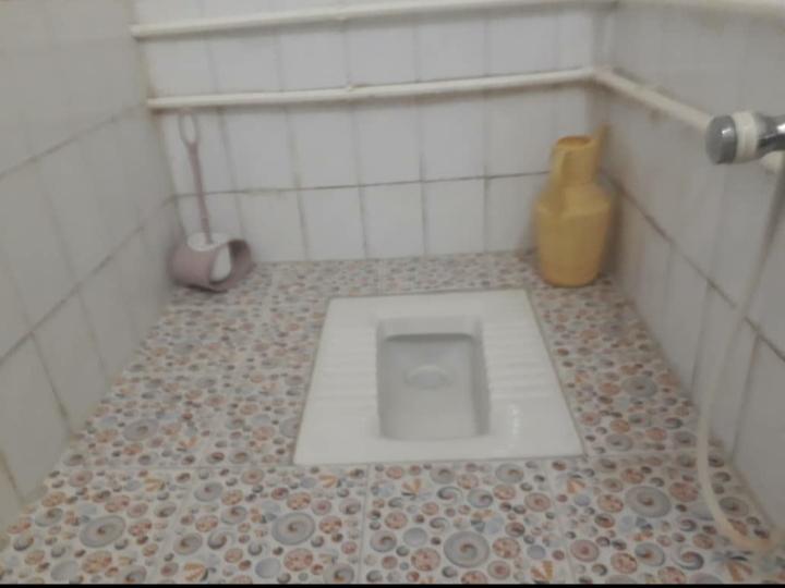 تک خواب سرگل در مرکز شهر رشت