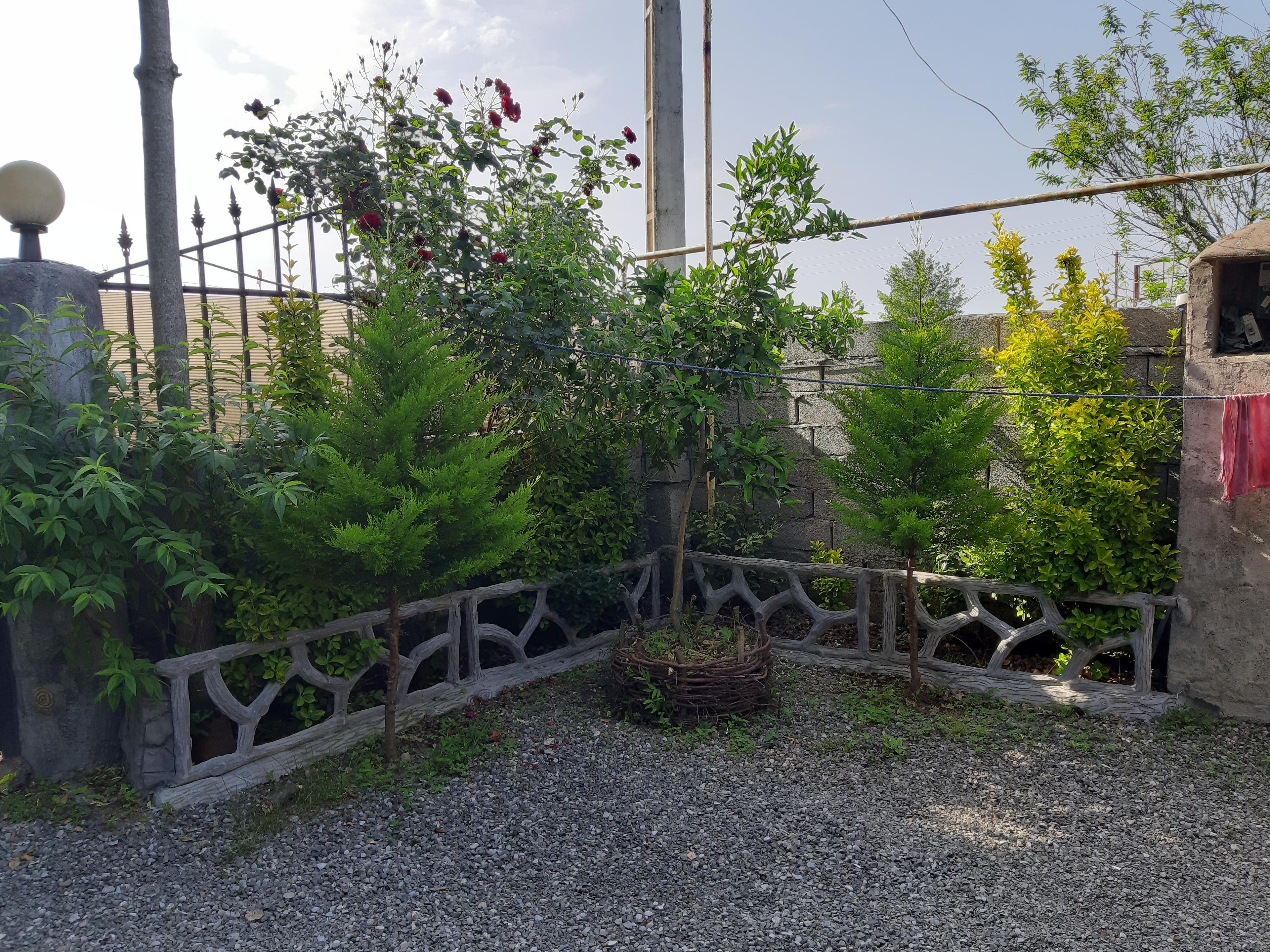 اجاره کلبه جنگلی تالش