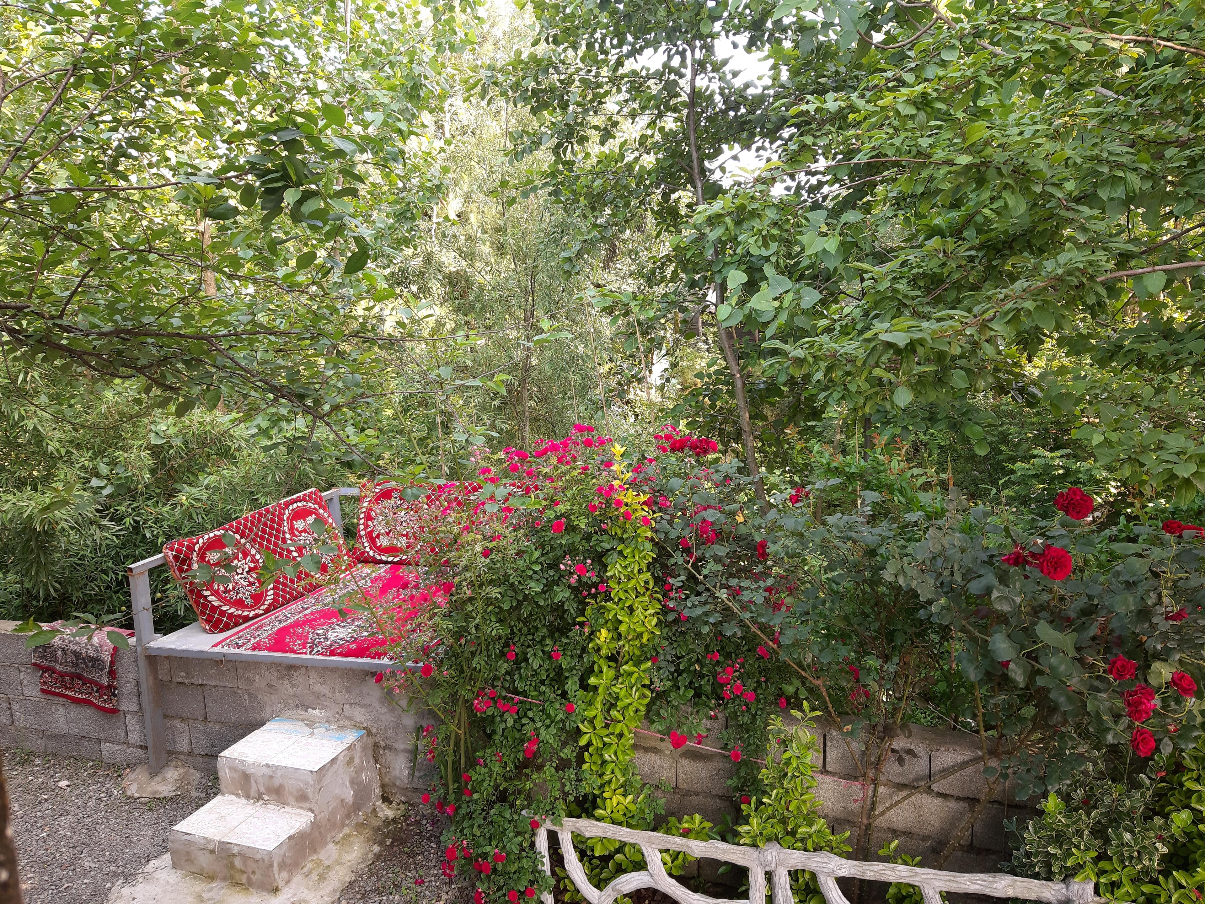 اجاره کلبه جنگلی تالش