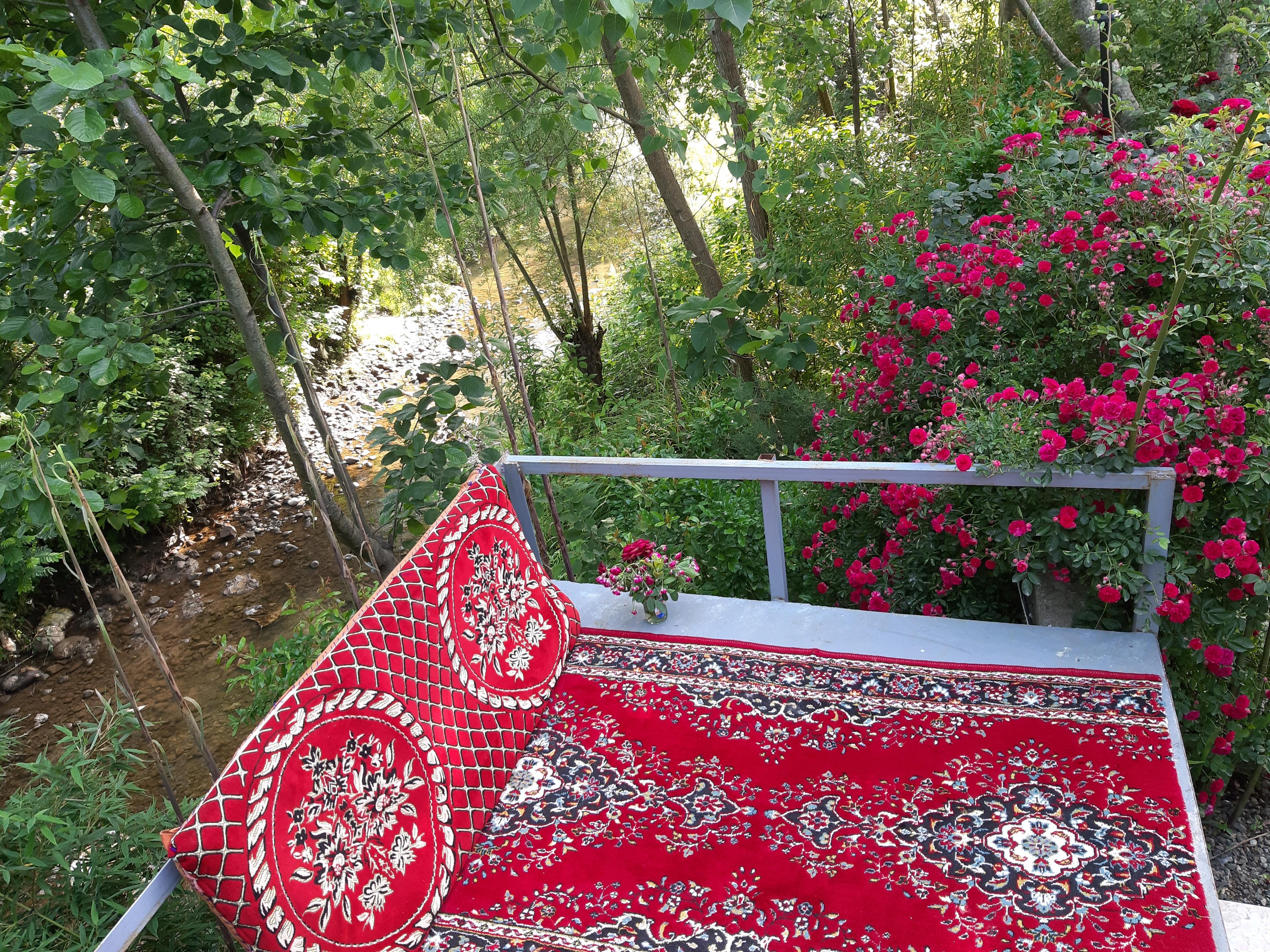 اجاره کلبه جنگلی تالش