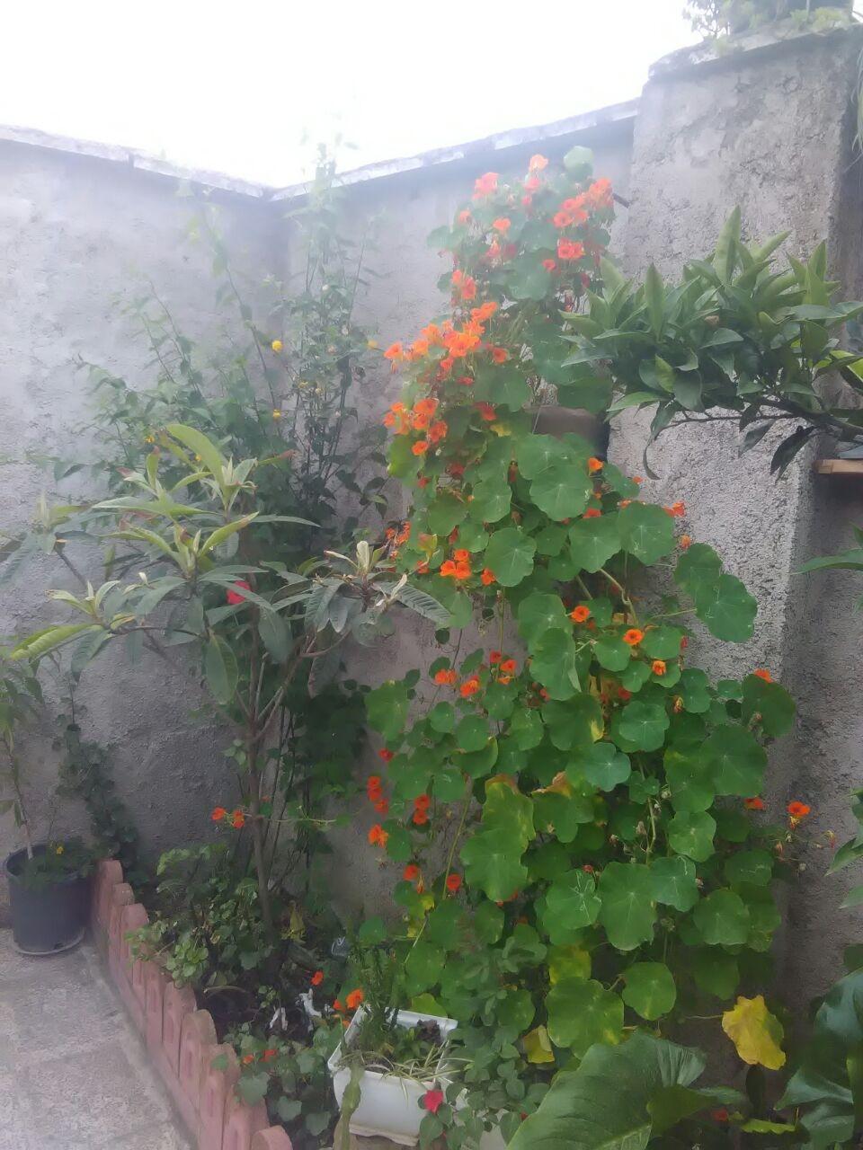 خانه مسافر وطن خواه 