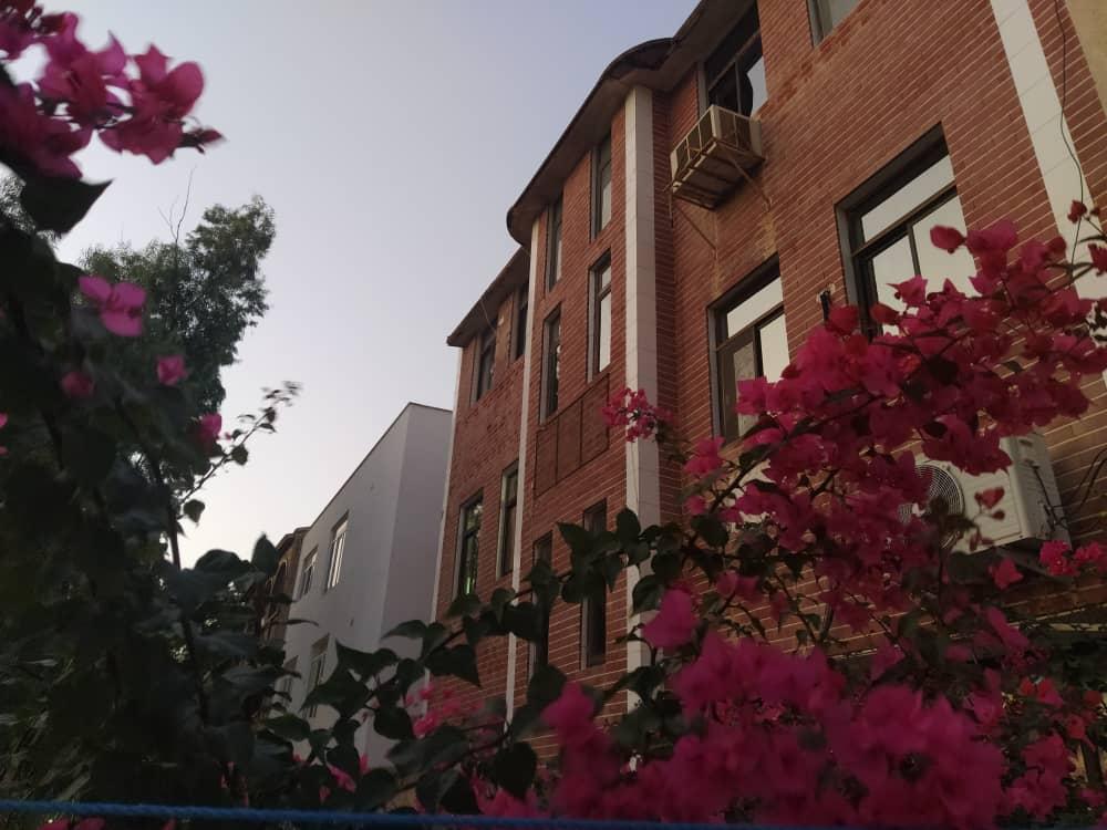 اجاره روزانه سوئیت مبله در کیش