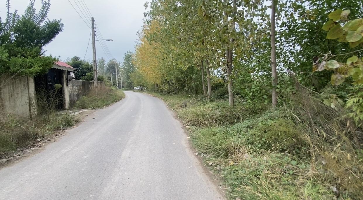 ویلای جنگلی دربست