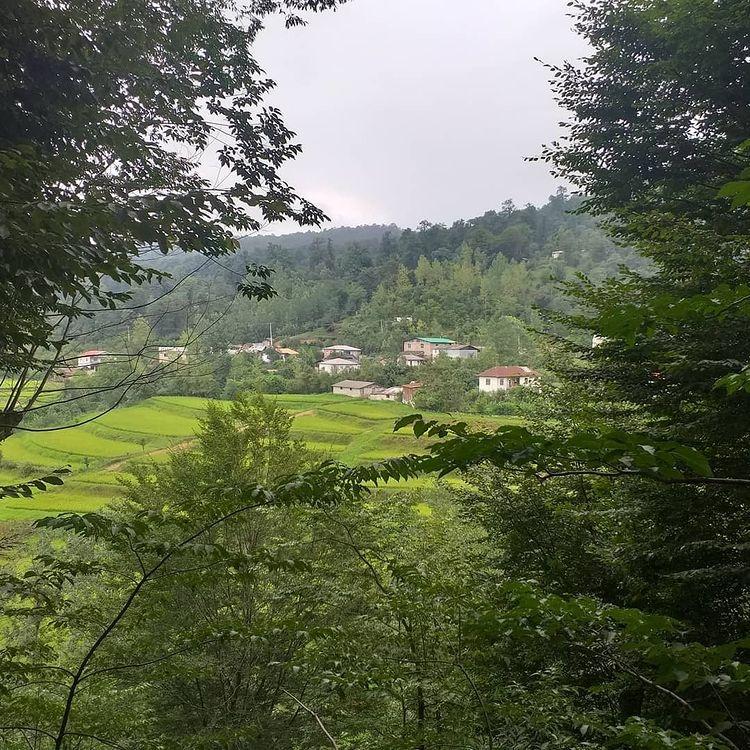 کلبه باغ در سواد کوه شمالی