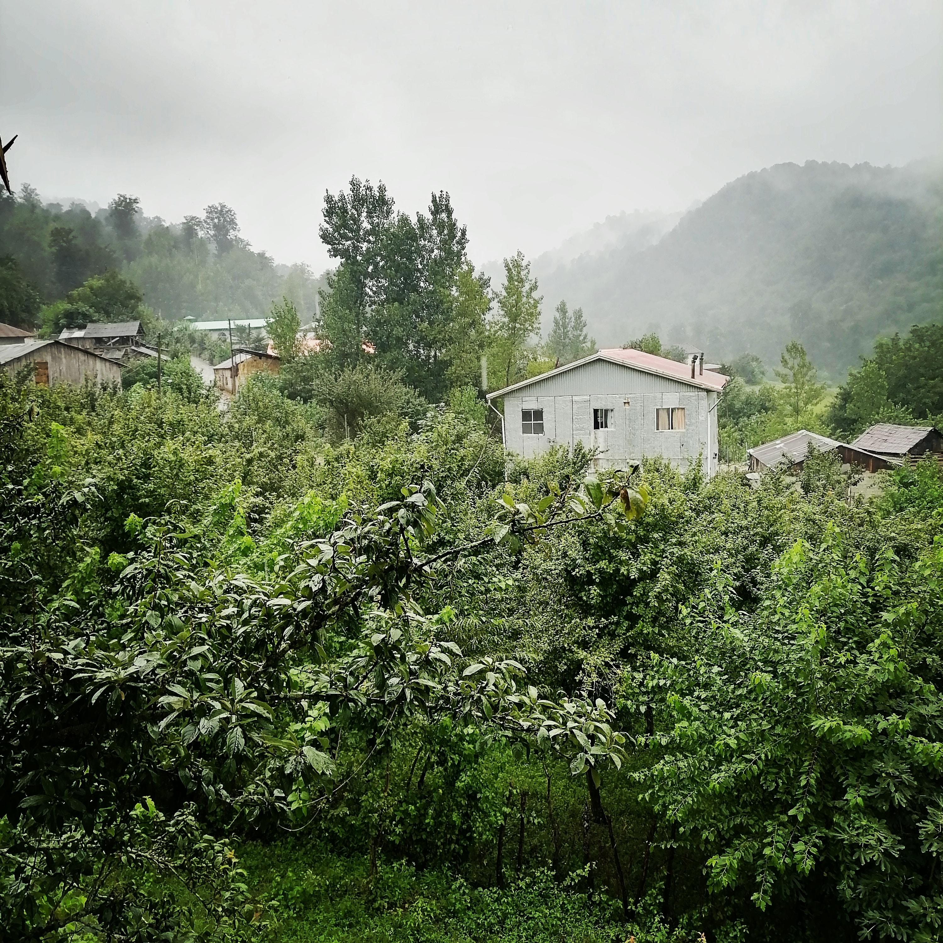 کلبه باغ در سواد کوه شمالی