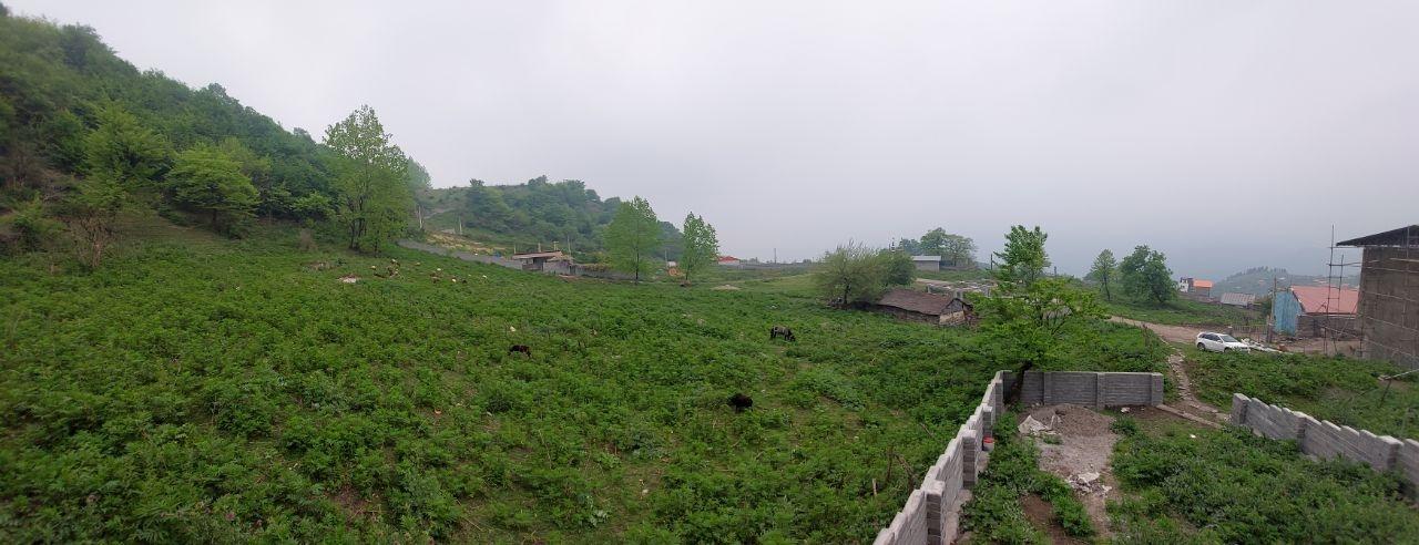 ویلا جنگلی تراس دار در سوادکوه