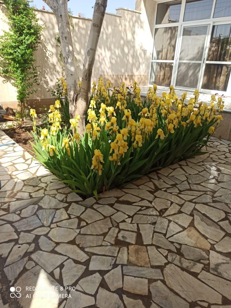 اجاره خانه ویلایی چادگان