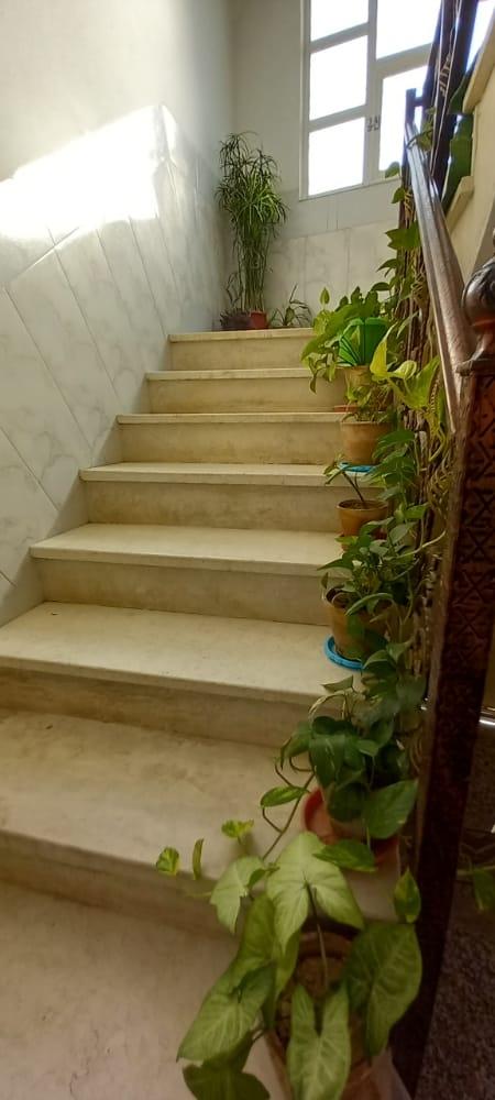 رزرو اقامتگاه در چادگان 