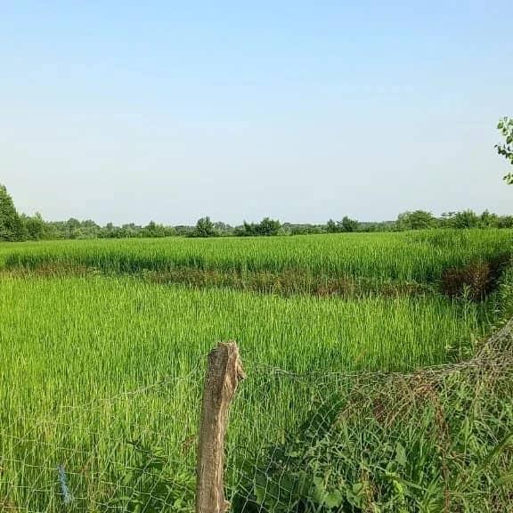 رزرو اقامتگاه دو خوابه در ماسال