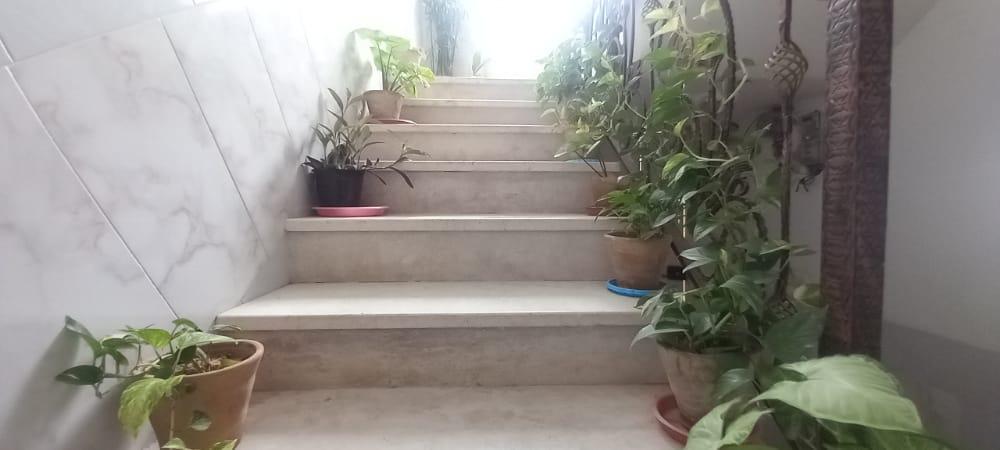سوئیت اجاره‌ای 60متری چادگان