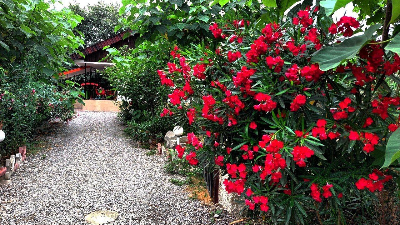 اجاره خانه ویلایی در تنکابن