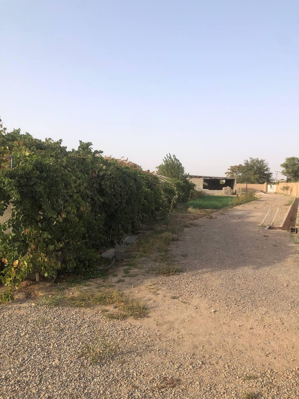 اجاره باغ ویلا در گناباد