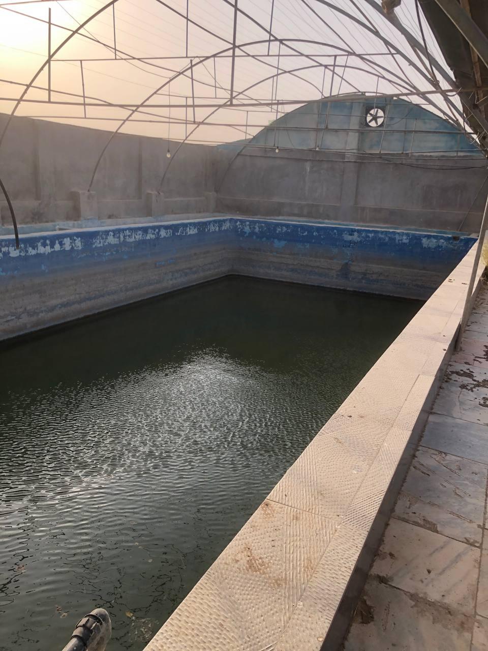 اجاره باغ ویلا در گناباد